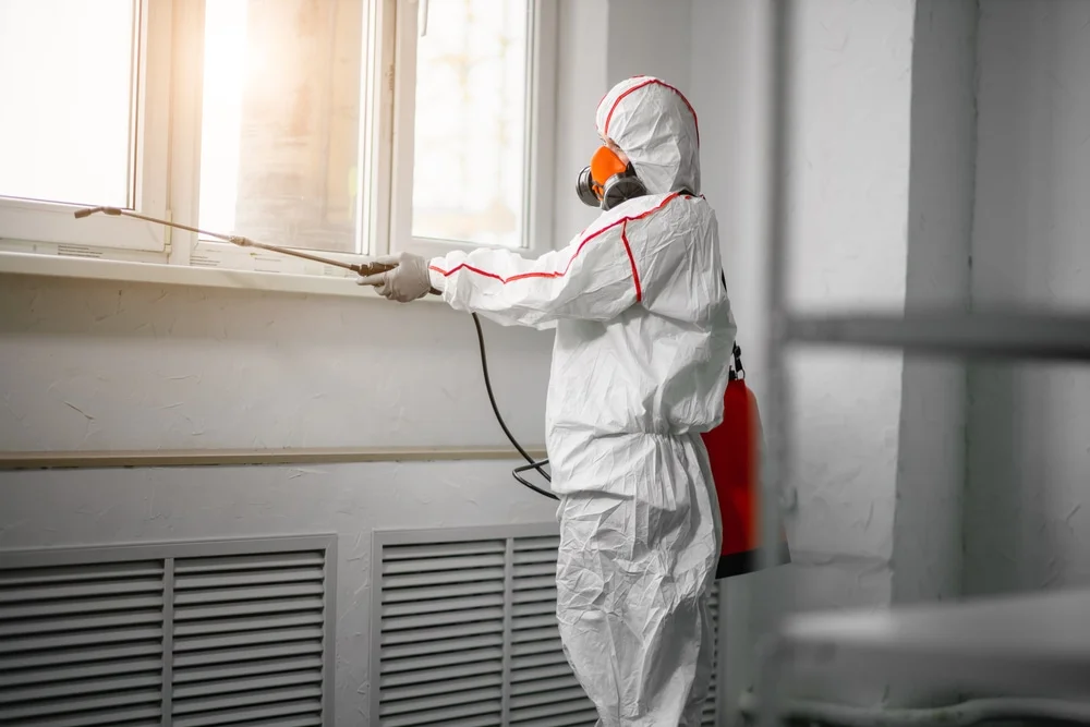 Professional mold remediation services in Buford, WY